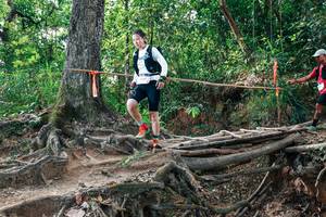 BIB: 
                            <button type="button" onclick="openModal(27716886)" class="btn btn-primary btn-sm float-right btn-popup" data-toggle="modal" data-target=".modal-high-quality">
                        <i class="fas fa-shopping-cart"></i> Add to Cart
                    </button>
                                            <button type="button" onclick="isThisMe(27716886, true)" class="btn btn-success btn-sm float-right btn-popup btn-isme hidden" data-toggle="tooltip" data-placement="bottom" title="นี่คือรูปของคุณใช่ไหม คลิกที่นี่เพื่อเอาเข้าอัลบั้ม">
                        <i class="fas fa-plus"></i> Add to album
                    </button>
                    <button type="button" onclick="isThisMe(27716886, false)" class="btn btn-warning btn-sm float-right btn-popup btn-isnotme hidden">
                        <i class="fas fa-ban"></i> Remove from album
                    </button>